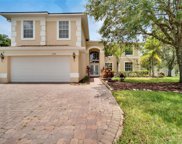 16306 Doune Ct, Tampa image