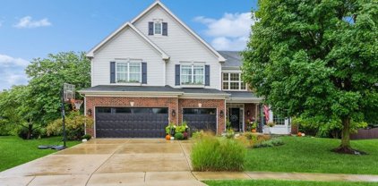 2253 Misty Creek Trail, Bolingbrook