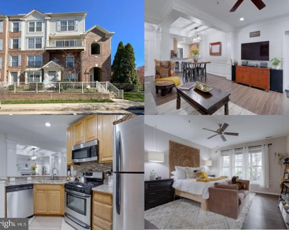 4115 Oxford Ln Unit #101, Fairfax
