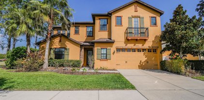 32523 Summerglade Drive, Wesley Chapel