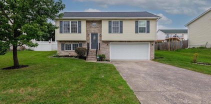 253 Ford Cir, Bunker Hill