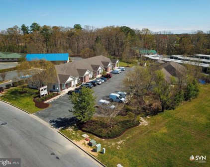 29509 Canvasback Dr, Easton
