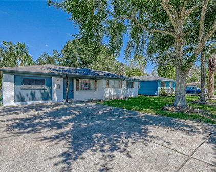 309 E Foley Street, Alvin
