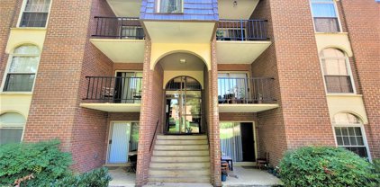 3334 Woodburn Village Dr Unit #T2, Annandale