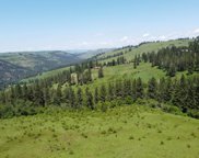 51.92 Acres Sears Creek, Grangeville image