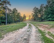 1330 Pine Ridge Road, Laurens image