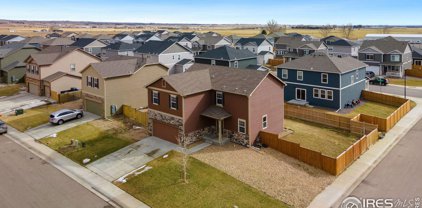 3611 Torch Lily St, Wellington