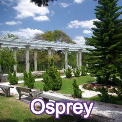 Osprey Florida Homes for Sale