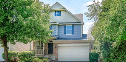 2917 Colton Court, Lisle
