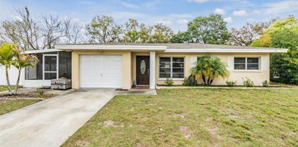 1715 Audrey Drive, Clearwater