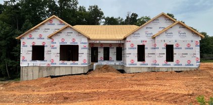 104 Birch Circle, Danville
