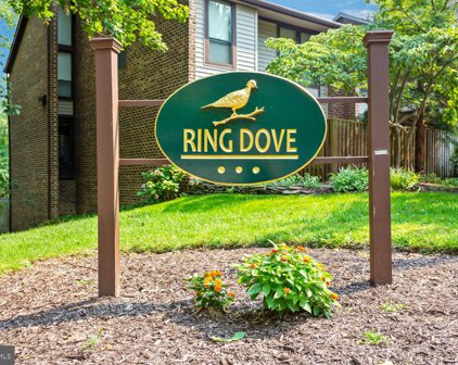5476 Ring Dove   Lane Unit #D-7-06, Columbia
