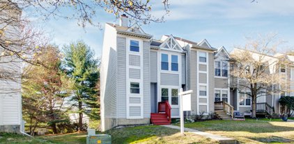 3406 Orange Grove Ct, Ellicott City
