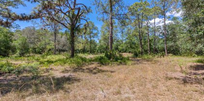 332 Ranch Road, Tarpon Springs