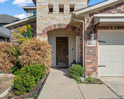 8231 Breezy Cove, Selma
