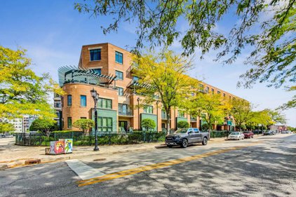 131 W Adelaide Street Unit #501, Elmhurst