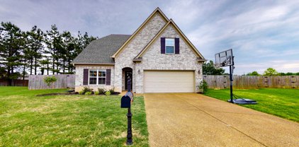 2739 Nugget Cove, Southaven
