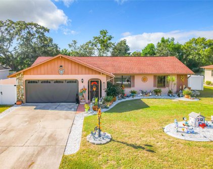 11423 Linden Drive, Spring Hill