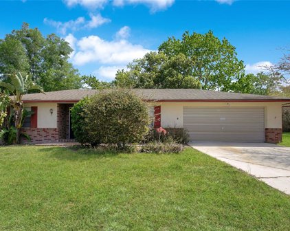 919 Millenbeck Avenue, Deltona