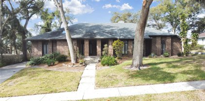 8306 N River Highlands Place, Tampa