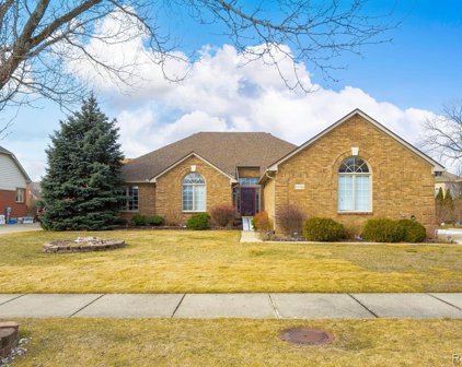 43369 HOPTREE, Sterling Heights