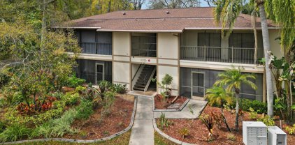 3205 Fox Chase Circle N Unit 102, Palm Harbor