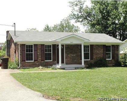 241 Winchester Dr, Mt Washington