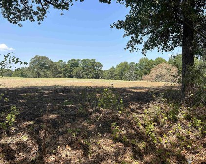 LOT 5  3+-ACRES COUNTY ROAD 2169, Troup