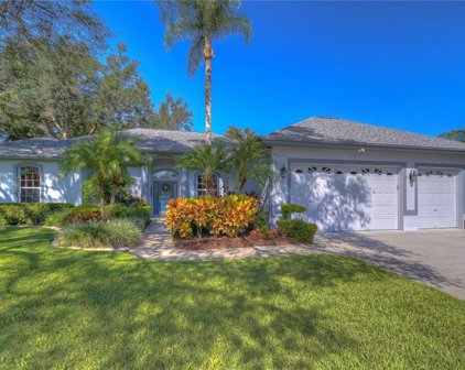 2209 Glen Mist Drive, Valrico