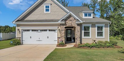 437 Cripps Pink Place, Greer