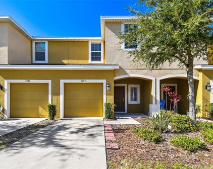 7029 Woodchase Glen Drive, Riverview