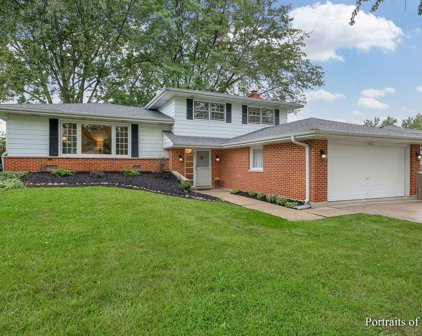7010 Springside Avenue, Downers Grove
