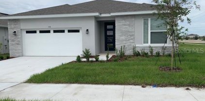 508 Aviana Street, Lake Alfred