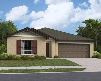 22165 Nebula Way, Land O' Lakes