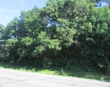 L1 Highway 21, Strongs Prairie