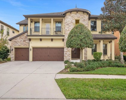 11403 Drifting Leaf Drive, Riverview