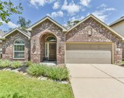 23431 Banksia Drive, New Caney image