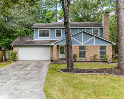 45 Coralberry Road, The Woodlands