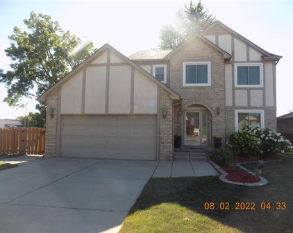 35005 Vito, Sterling Heights