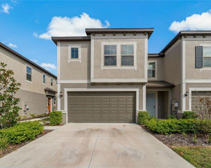 31937 Blue Passing Loop, Wesley Chapel