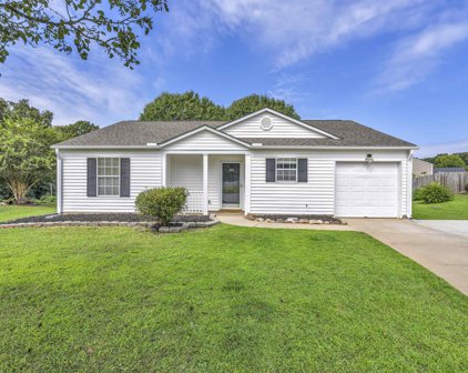 104 White Tail Court, Greenville