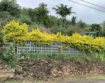 1782 Piihana Rd, Wailuku