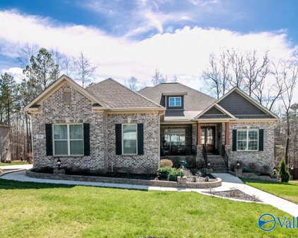 29 Natures Ridge Way, Huntsville