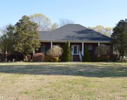 17 Leaning Pines Place, Hartselle image