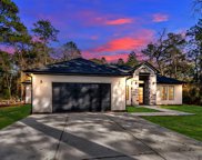 23406 Green Forest St, Hockley image