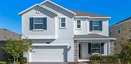 1985 Mountain Pine Street, Ocoee