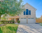 25211 Shalford Drive, Spring image