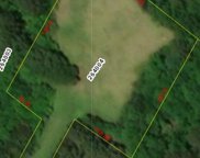 1.26 acres E Oglethorpe Highway, Midway image