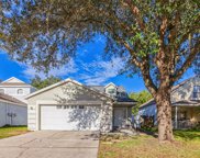 8427 Hawbuck Street, Trinity image