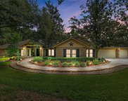 9 N Longspur Drive, The Woodlands image